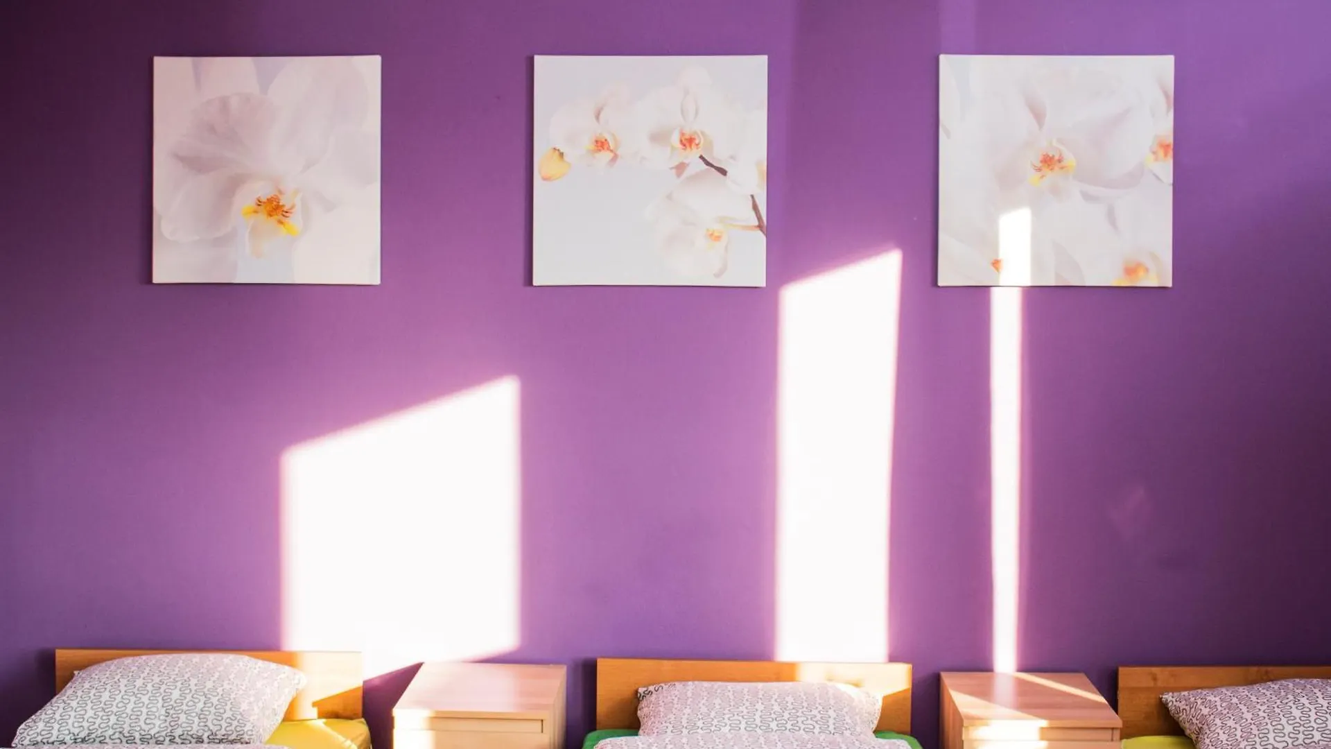 Hostel Marymont Warszawa